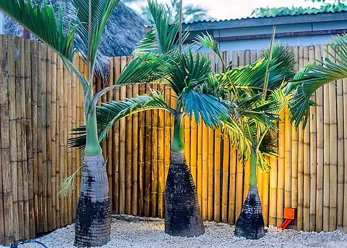 8 Plus Beach Resort
